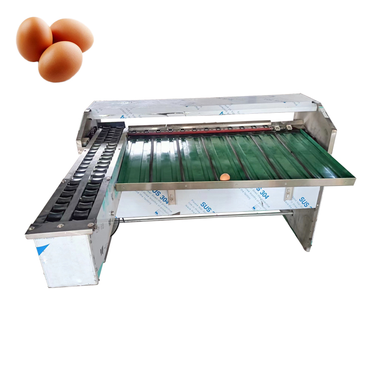 Chicken Egg Sorting Machine Egg Size Sorting Machine Basic Egg Sorting Machine