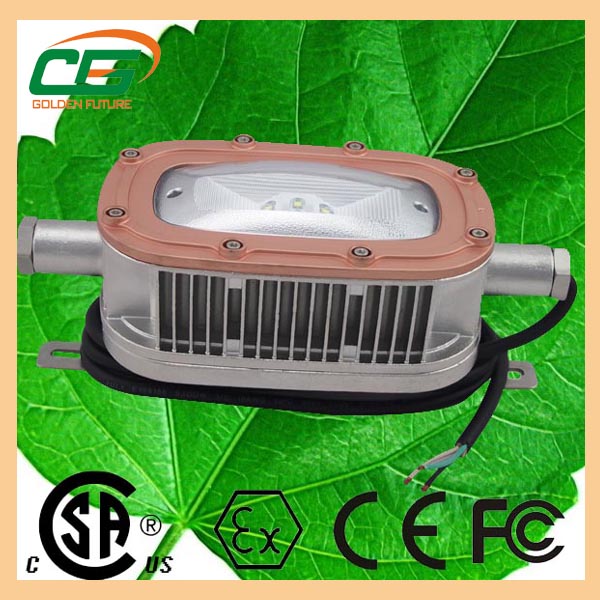 Portable 120° High Lumen LED Explosion Proof Light 30 W WF2 , DC 36V