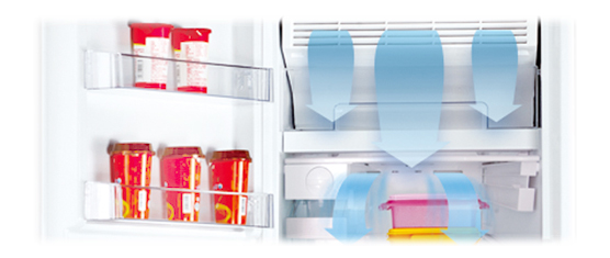 BD-260 SINGLE DOOR REFRIGERATOR AUTOMATIC DEFROST