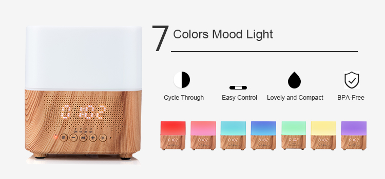 Travel Mist 12W 300mL Bluetooth Aroma Oil Diffuser 24V