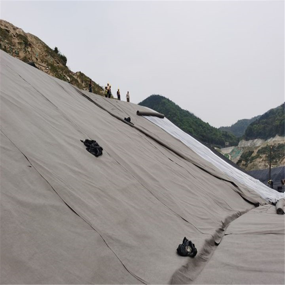 HDPE Composite Geonet Plastic Geocomposite for Drainage and Protection Installations