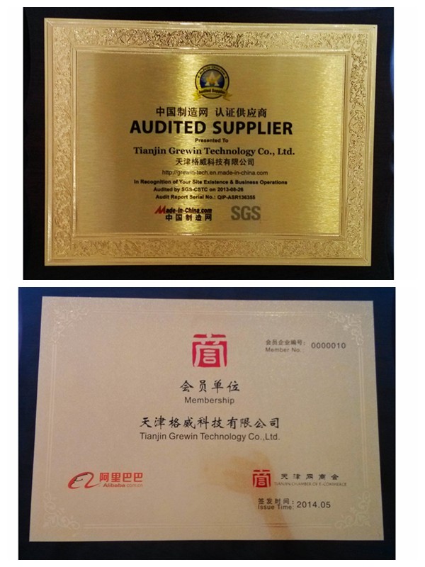 SGS MIC 2013 AND ALIBABA