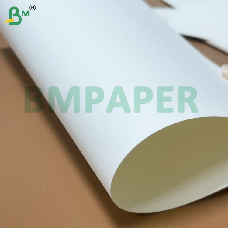 200g 210g Strong Extensibility  White Cup Stock Paper  For Paper Cup Making