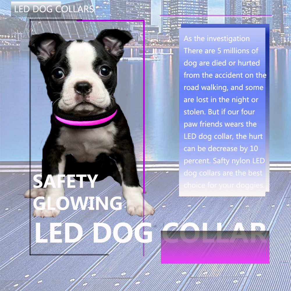 Eco - Friendly LED Dog Collar Rechargeable Three Flash Mode Nylon