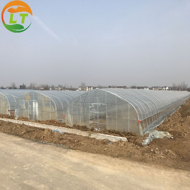Galvanized Skeleton Polytunnel Greenhouse for Plants Growing Easy to Install by LiTai