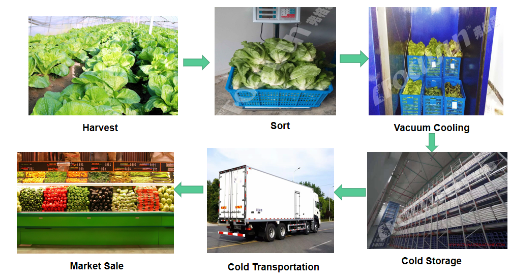 100mm Panel Thickness Farms Pre Cooling Machine Vacuum Cooler for Flowers and Vegetables