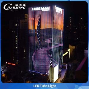 Newest Smart Pixel LED Christmas Decoration RGB 24v Waterproof Ip66 LED Point