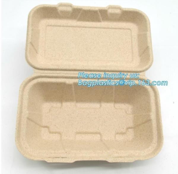 Compartment hinged container sugarcane bassage pulp food serving box 750ml