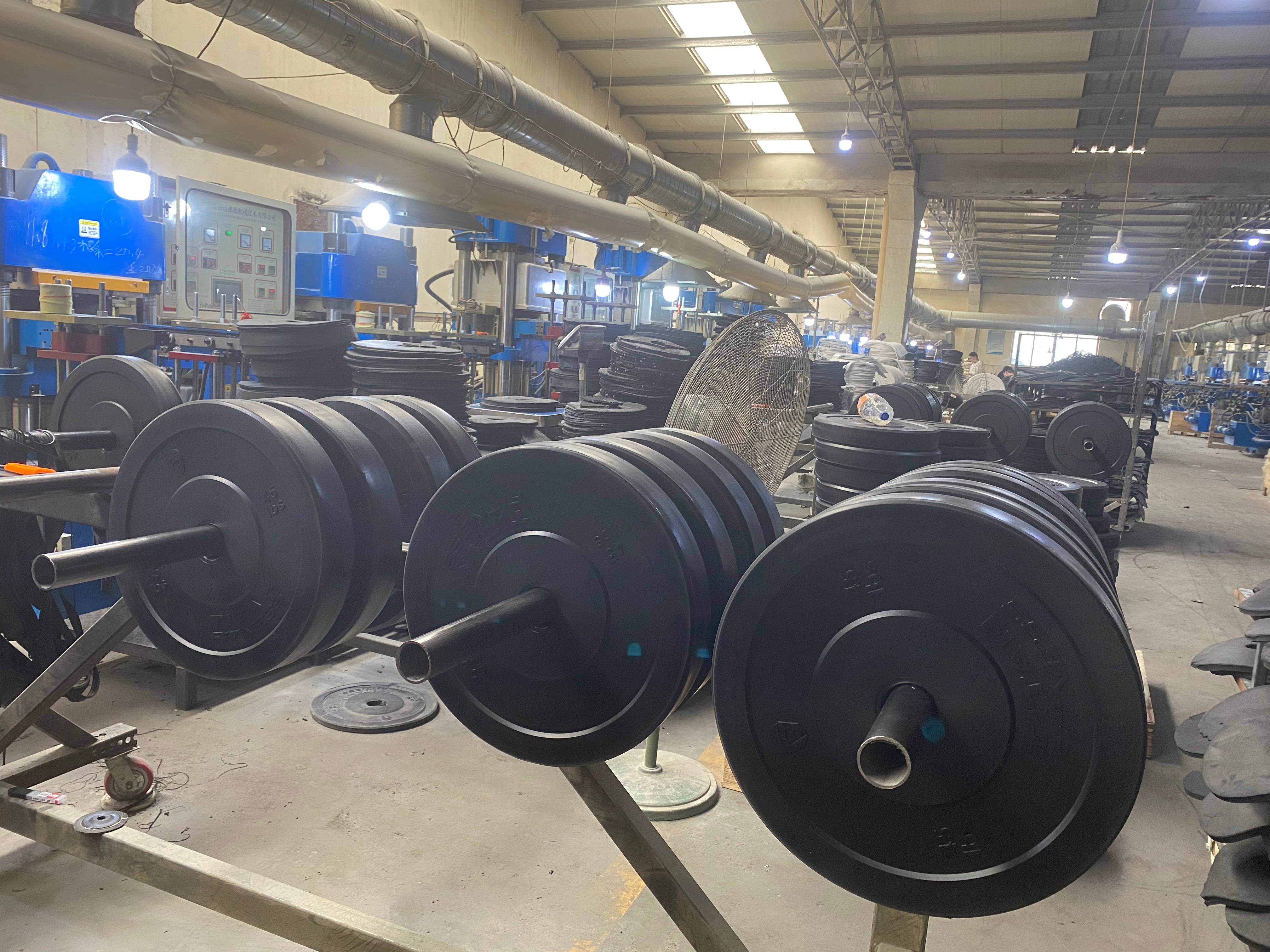 Weightlifting Adjustable Dumbbell Set Iron Plate 20kg 45LB Powerlifting Calibrated