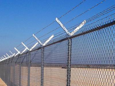 Protecting Mesh 500m Electric Hot Dipped Galvanized Barbed Wire with Electro Galvanized