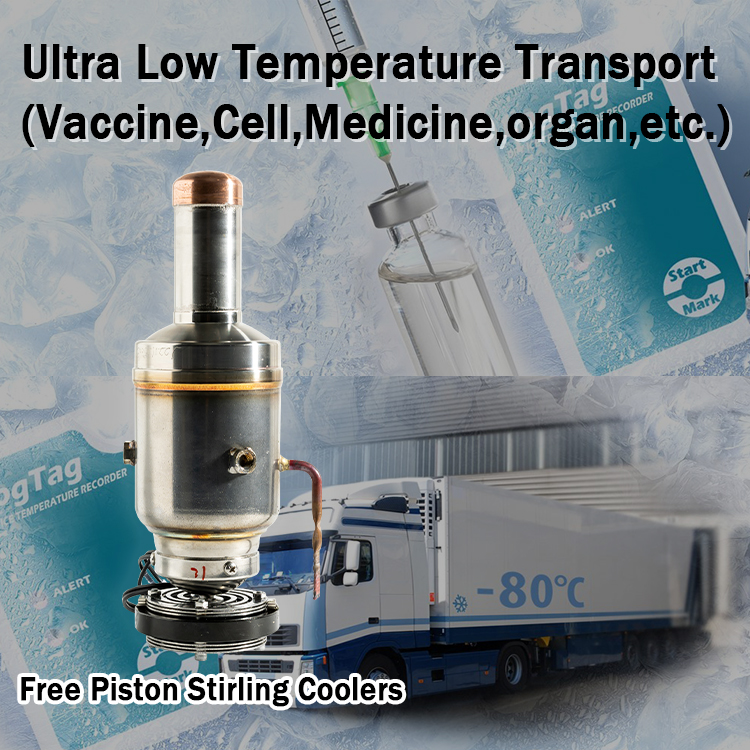 Stirling Cooling -130C Vaccine Cell Storage Transport for Ultra Low Temperature Needs
