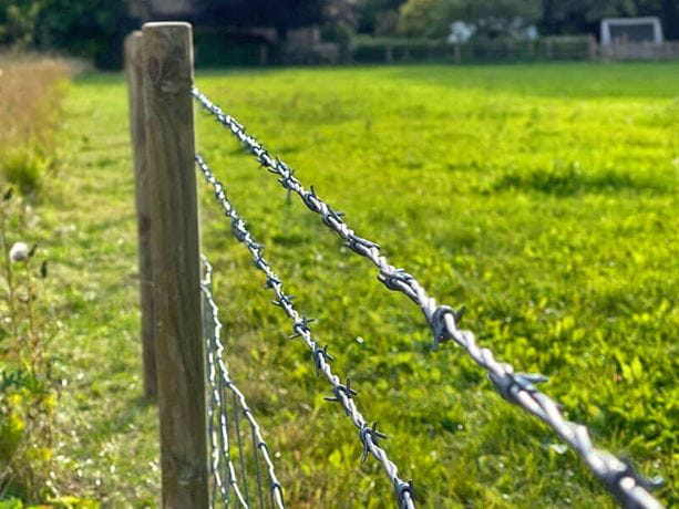 Protecting Mesh 500m Electric Hot Dipped Galvanized Barbed Wire with Electro Galvanized