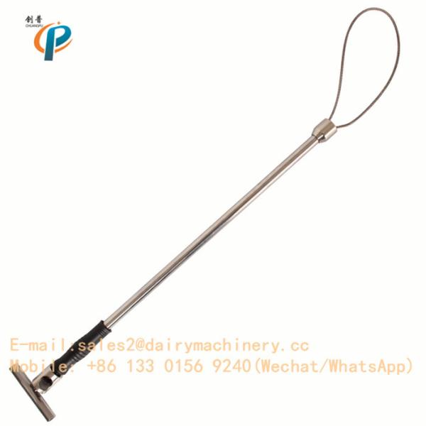 Stainless Steel Pig Holder Dairy Machinery Appliance Pig Farm Hog Catcher 65cm