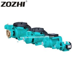 2850RPM Speed Self Priming Peripheral Pump PKM QB DB KF/1 PM16 Series For