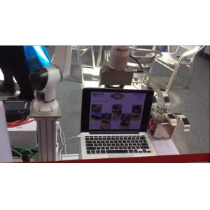  6 Axis Robotic Arm Of Elfin E10-L With Manipulator Robot Arm 8kg Payload As Collaborative Robot Manufactures