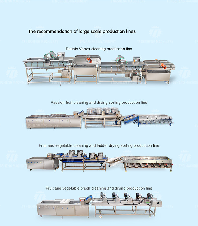 80KG Commercial Large Garlic Beating Machine Automatic Ginger Beating Machine