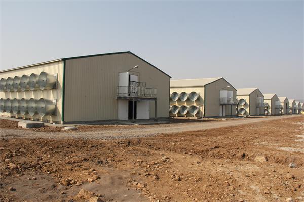 Modern Design Waterproof Thermal Insulation Chicken House Laying Chicken House Steel Structure Poultry House