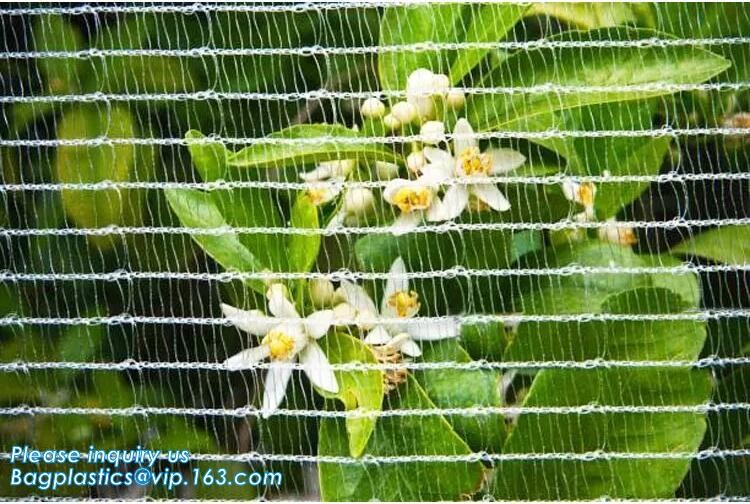 cheap and durable plastic colored anti mosquito netting/window insect screen,Industrial Agricultural Greenhouses use 2m
