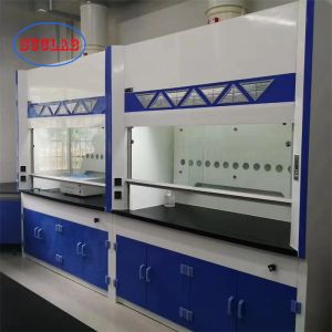 Class 100 Laboratory Fume Cupboard Controlled Chemical Exposure High Safety Level