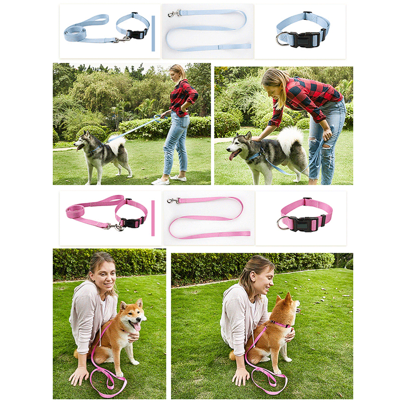 Dog Collar Luxury Gradient Adjustable Reversible Solid Custom Logo Designer Personalized