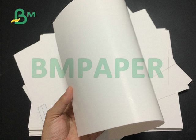 Anti Curling 25 x 35inch 300Gr 350Gr 400Gr SBS Paper Board For Cake Package Box 