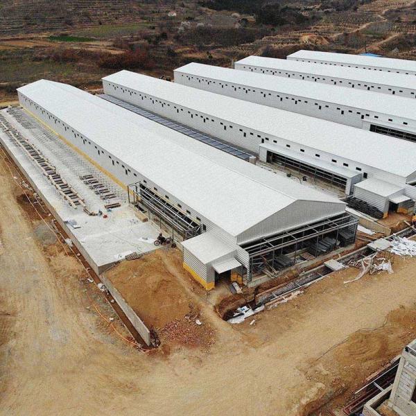 HI HOPE Farm Designed Prefab Poultry House High Sealing Broiler Shed Constructio