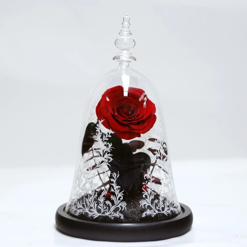 Real Preserved Forever Rose, Eternal Rose, Galaxy Rose, Preserved Flowers Flower Crafts Preserved roses