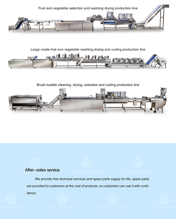 3500KG/H Vegetable Processing Machine Spiral Shaft Potato Peeling Machine