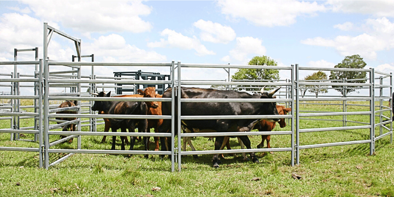 Round Corral Panels 5 Oval Rails. Locking Pins. , Victoria , Cattle