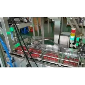 SUS304 Multihead Weigher Auto Weighing And Packaging System For Cherry Frozen