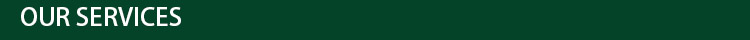 1.5cm Mesh 27gsm PP Anti Bird Net for Grapes or Fruit Trees Customized Length