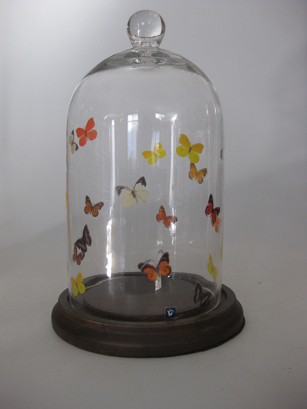 OEM Handmade Glass dome