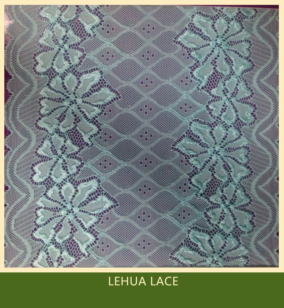 Hot Selling and nice quality Nylon Spandex Stretchy Brazil Lace from China
