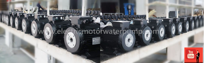 hollow shaft electric motor