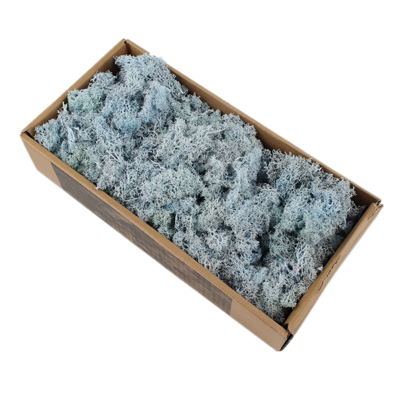 Eco Friendly Preserved Natural Moss Custom Color For House Wall Decoration