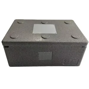 Customized Protection Package EPP Container Shock Proof Manufactures