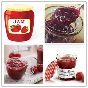 200kg/Hour Tomato Sauce Jacketed Kettle Cooker With Agitator