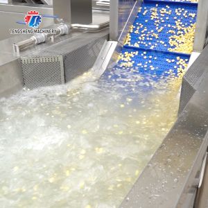 Streamline Your Manufacturing Process with Our Advanced Fruit And Vegetable