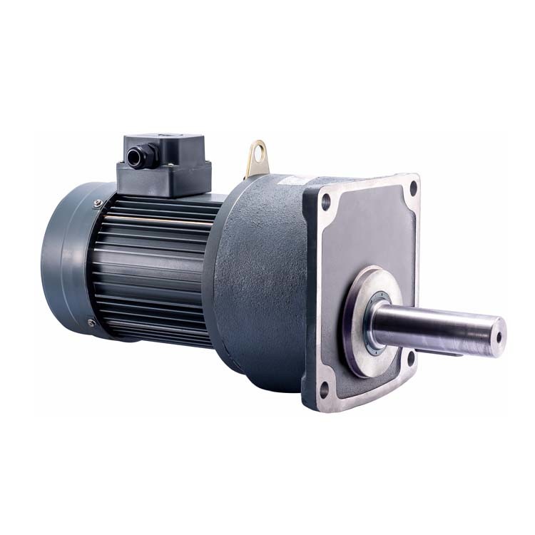 Shaft 45mm Geared Brake Motor