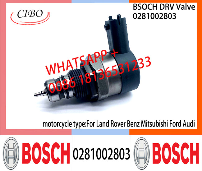 BOSCH DRV Valve 0281002803 Control Valve 0281002803 For Land Rover Benz Mitsubishi Ford Audi