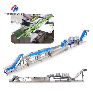 vegetable drying equipment Fruit and vegetable selection washing and drying