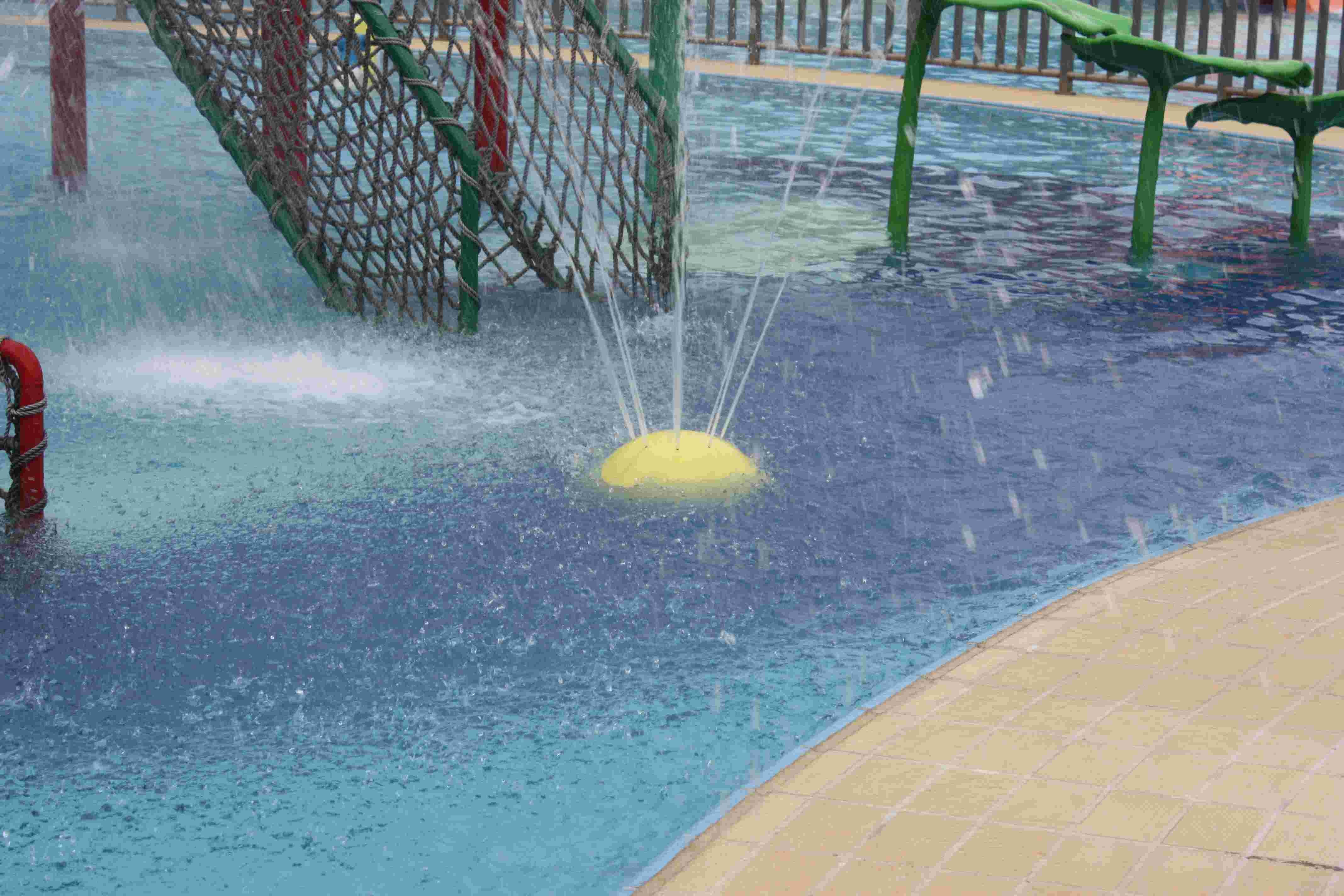 Customized Carp Carton Spray Park Equipment For Children / Kids Fun in Swimming Pool