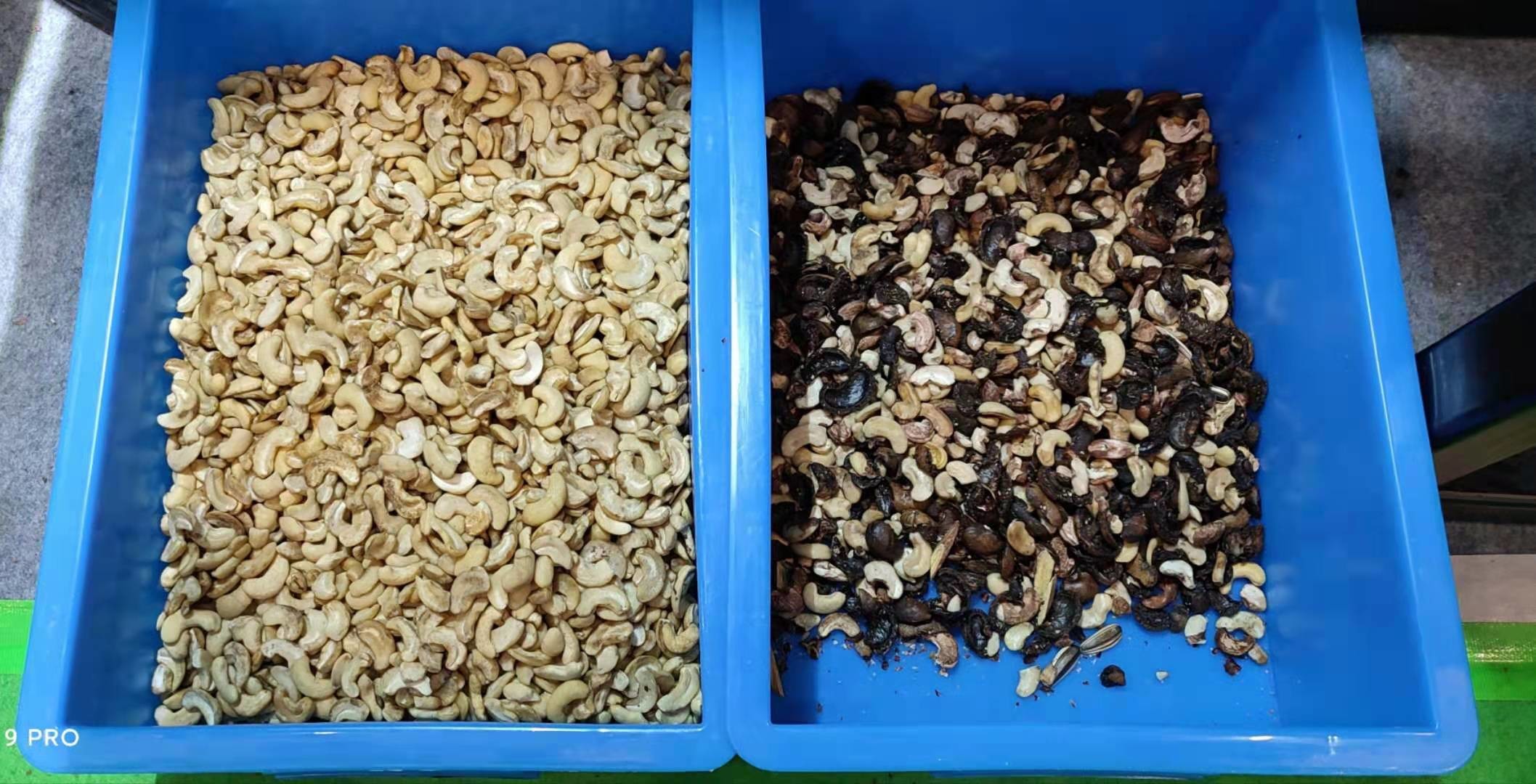 CCD Color Sorter For Almonds/Peanuts/ Macadamia/Pecan/ Pistachio