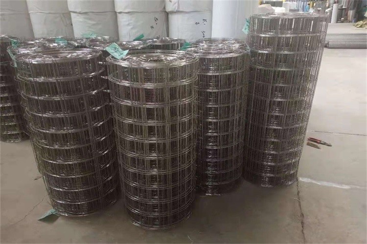 Breeding Net / Plastered 1x30m Ss Welded Wire Mesh