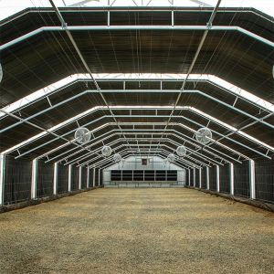 Stable Structure Easily Assembled Agricultural Single Span Fully Automated