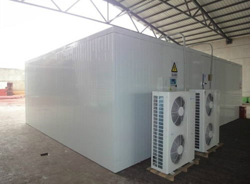 Vegetables Cold Room Freezer Walk In Cold Storage Units For Keep Fresh Fruits Fish Transportation