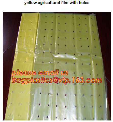 Multi-Span Plastic Film Cover Natural Ventilation Vegetable Greenhouse,Greenhouse Kits Plastic Greenhouse 200 micron gre