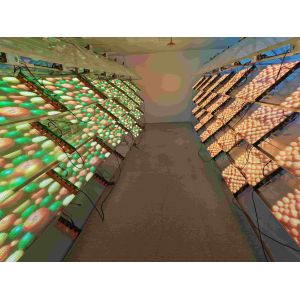  P10 Ultra Thin Transparent LED Screen for Creative Architectural Design Format Video Wall Display Manufactures