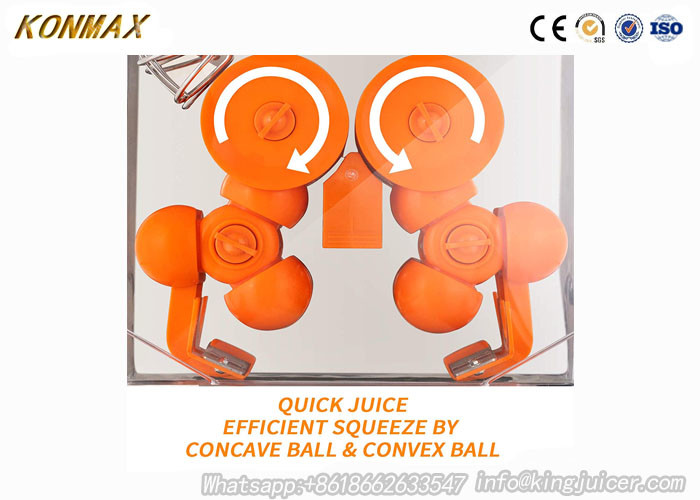 Coffee Bar Electric Citrus Juicer , Automatic Feeder 370W Fresh Juicing Machine