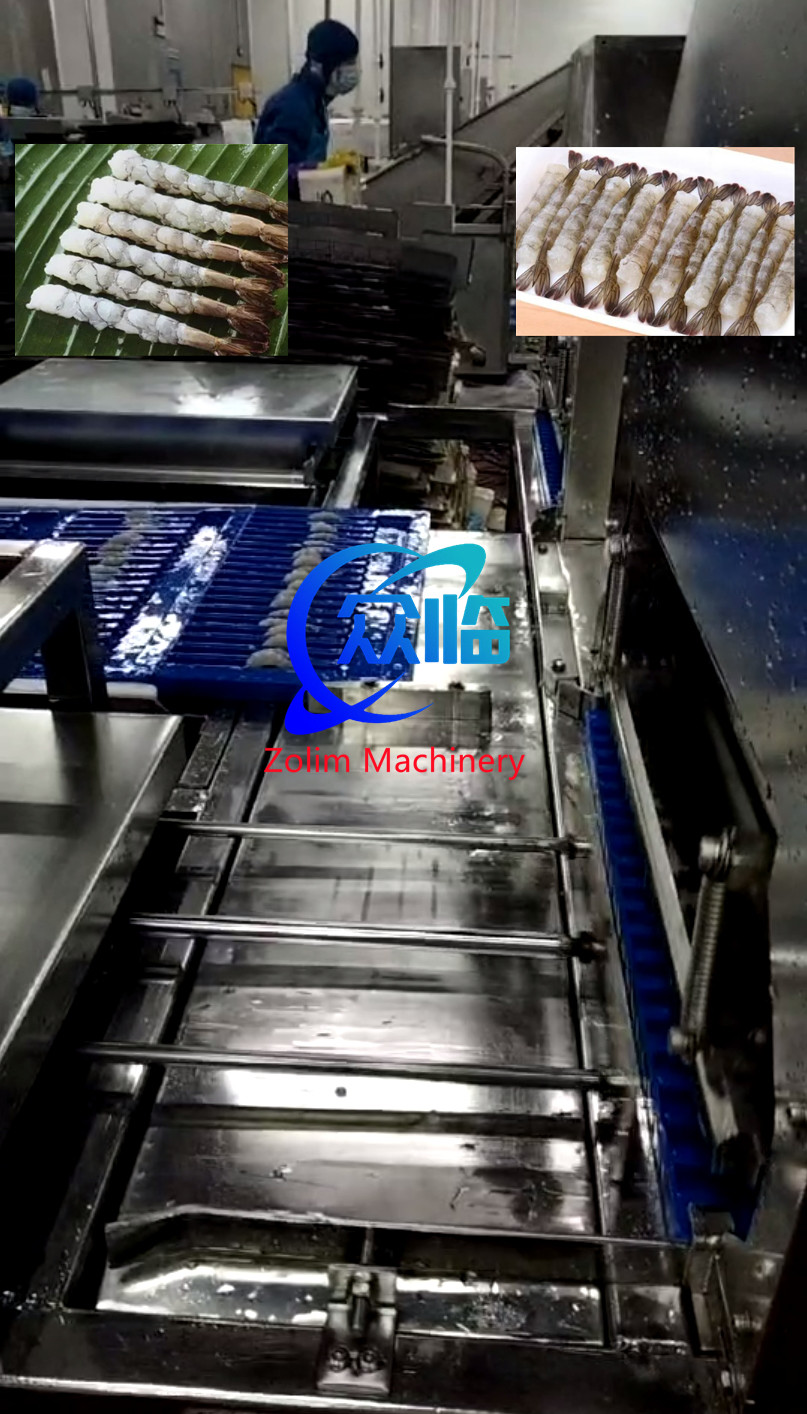 New Design Shrimp Stretching Line, Tempura Processing Line, NOBASHI Processing